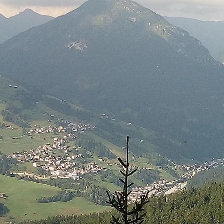 B&B Il Tulipano San Pietro di Cadore Eksteriør billede