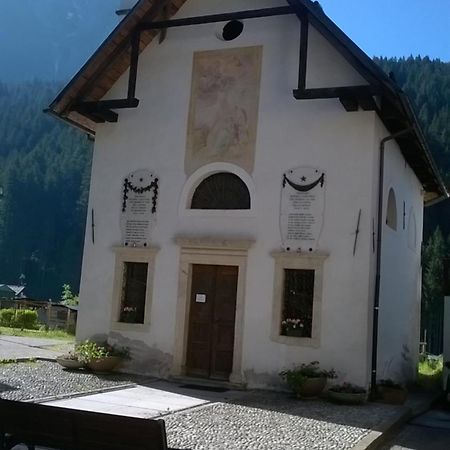 B&B Il Tulipano San Pietro di Cadore Eksteriør billede