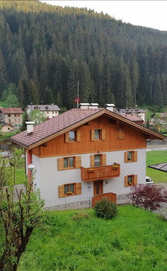 B&B Il Tulipano San Pietro di Cadore Eksteriør billede