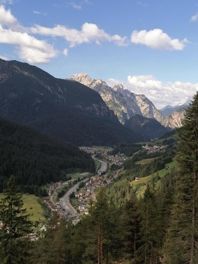 B&B Il Tulipano San Pietro di Cadore Eksteriør billede