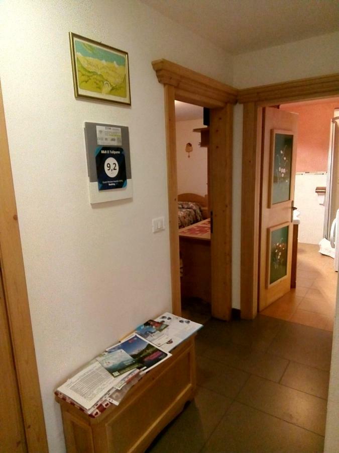 B&B Il Tulipano San Pietro di Cadore Eksteriør billede