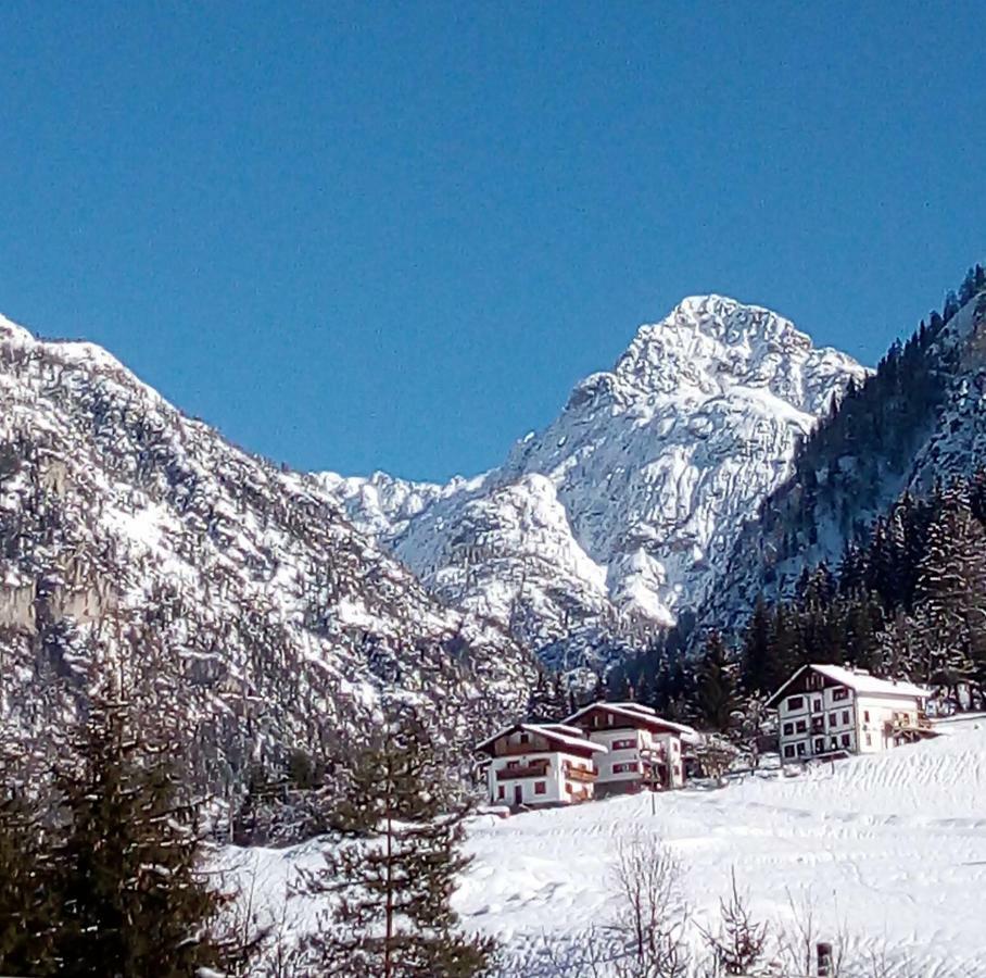 B&B Il Tulipano San Pietro di Cadore Eksteriør billede