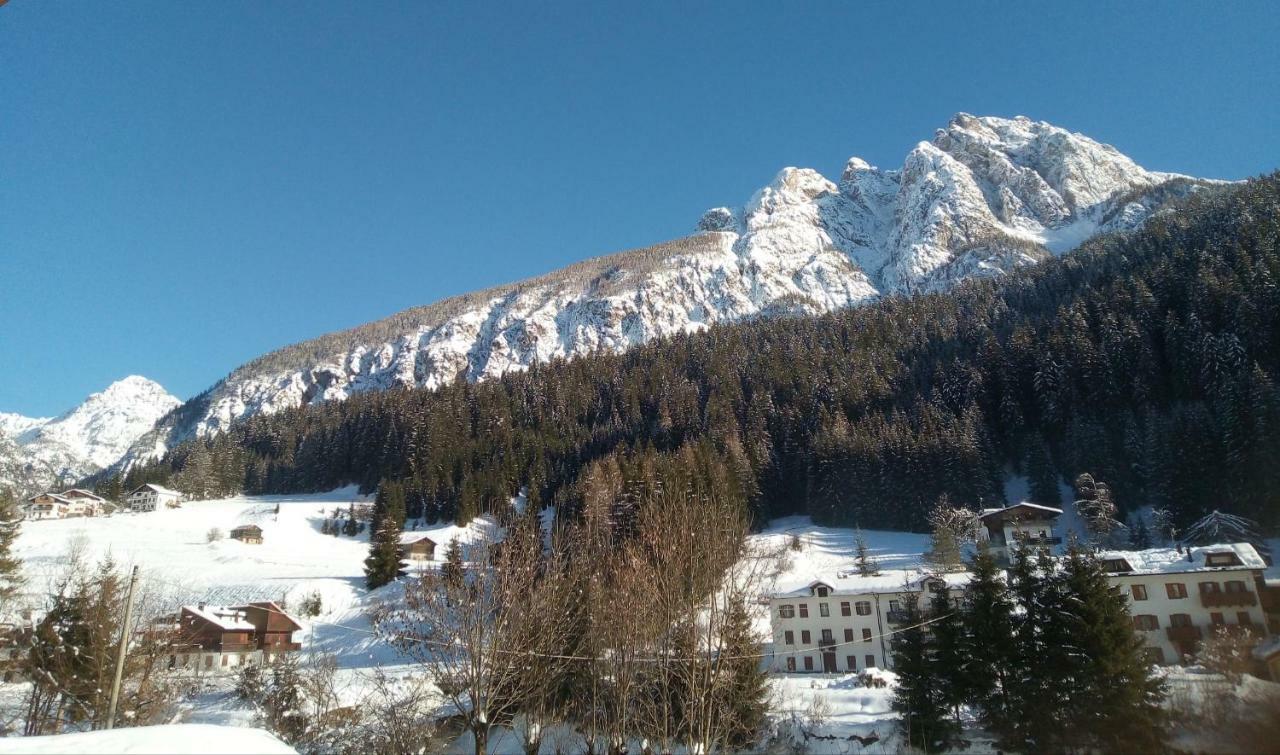 B&B Il Tulipano San Pietro di Cadore Eksteriør billede