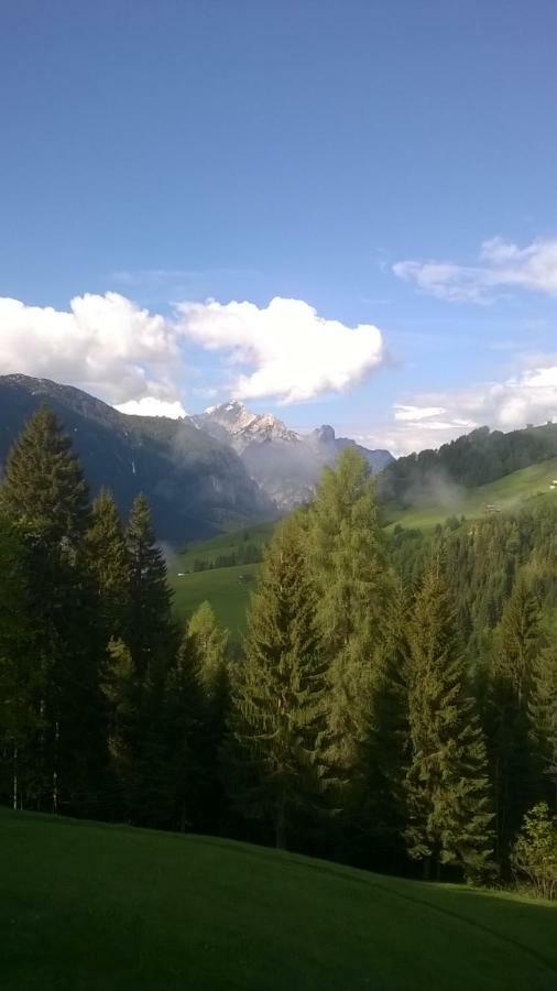 B&B Il Tulipano San Pietro di Cadore Eksteriør billede