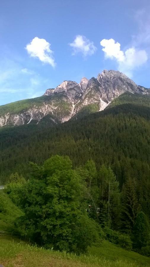 B&B Il Tulipano San Pietro di Cadore Eksteriør billede