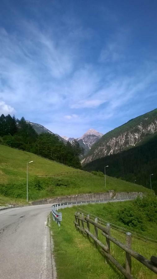 B&B Il Tulipano San Pietro di Cadore Eksteriør billede