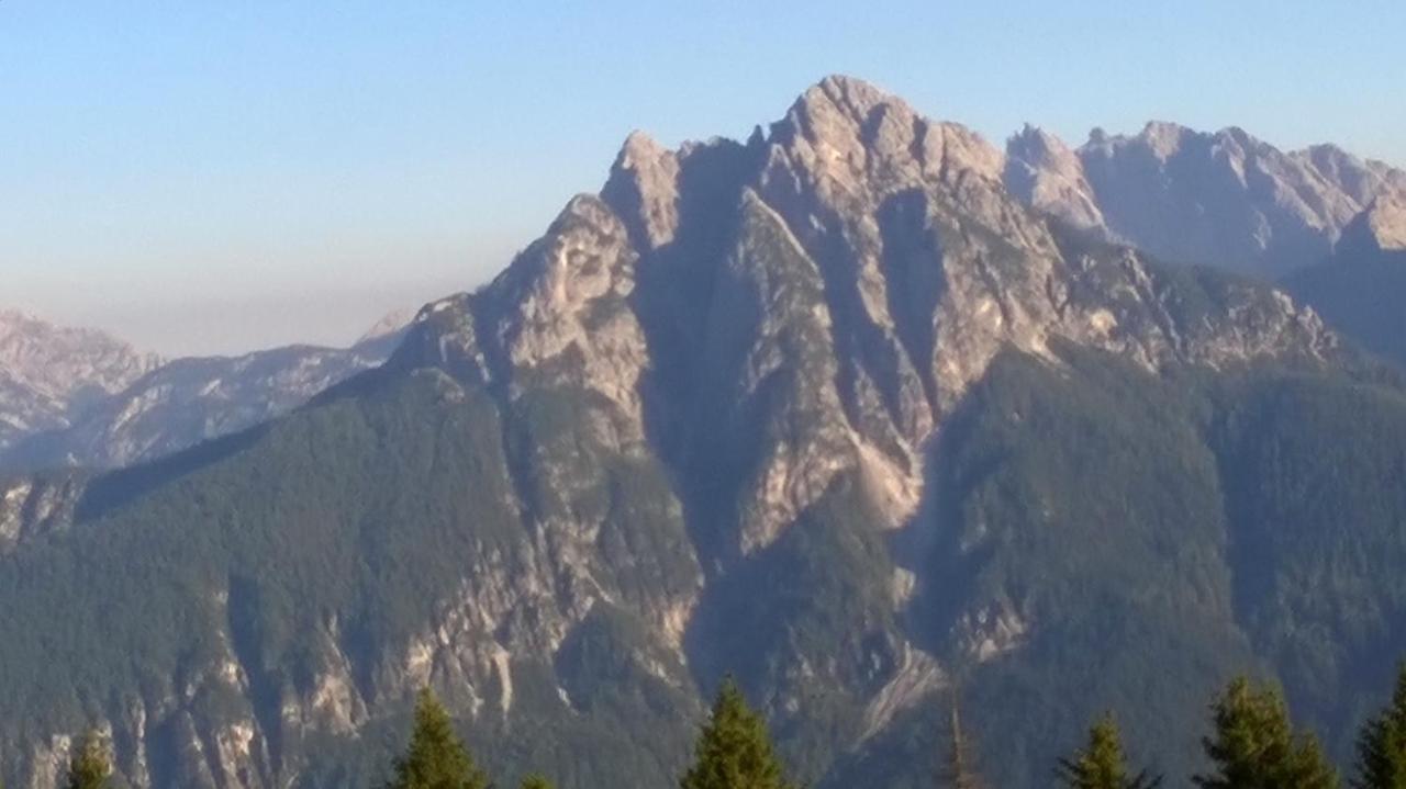 B&B Il Tulipano San Pietro di Cadore Eksteriør billede