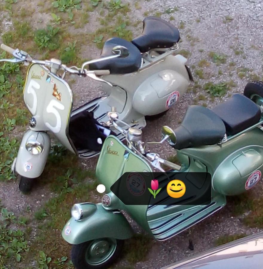 B&B Il Tulipano San Pietro di Cadore Eksteriør billede